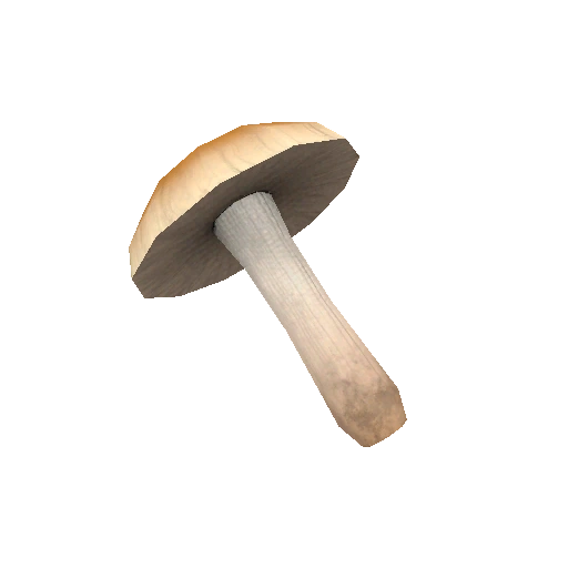 Shrooms